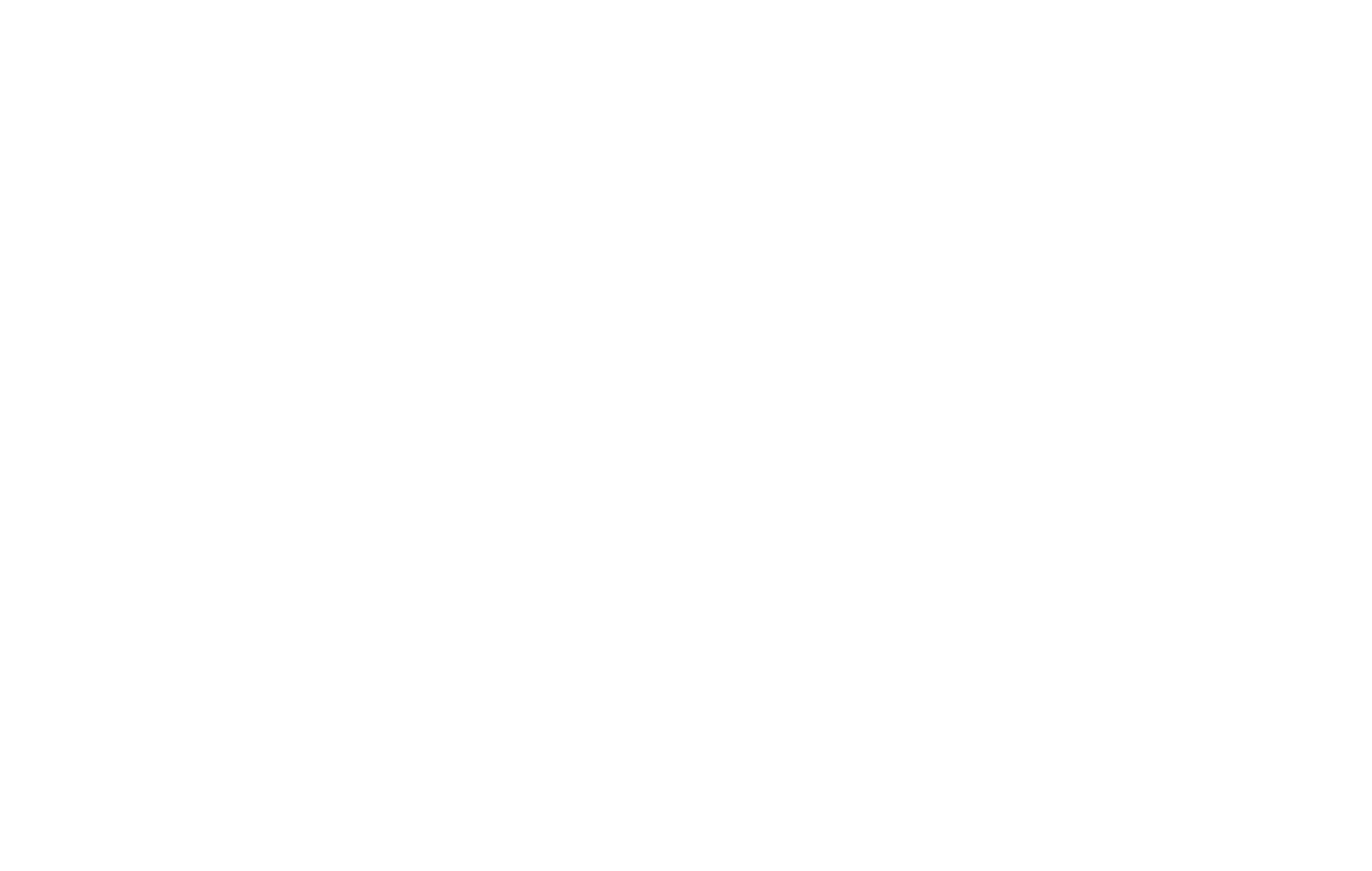 LOGO PASSOS FLAMBOYANT NEGATIVA